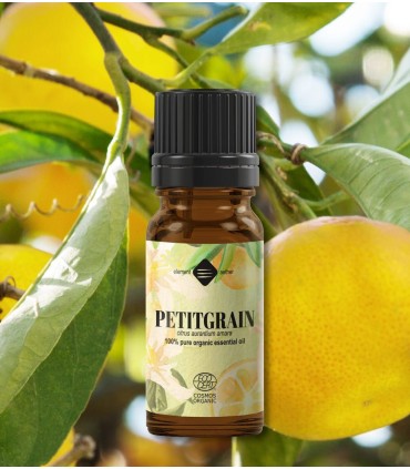 Petitgrain BIO ulei esenţial (bigaradier citrus aurantium) 10 ml