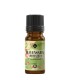 Ravensara ulei esenţial pur (ravensara aromatica) 10 ml
