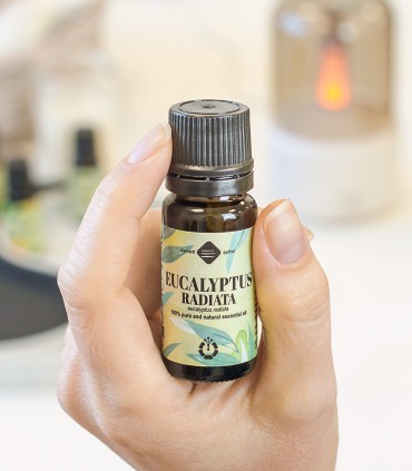 Eucalyptus Radiata pure essential oil
